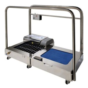 DAESHIN Máy rửa đế giày tự động 1, 2 vị trí